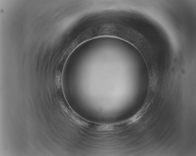 X0000056330142200508291302