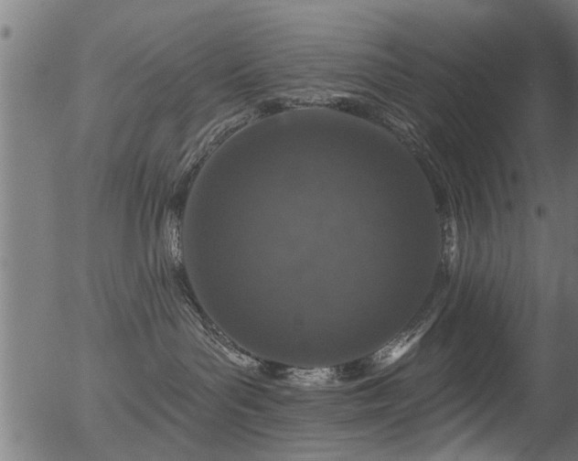 X0000056330143200508291302