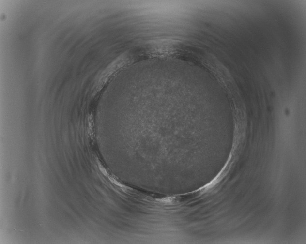 X0000056330144200508291302