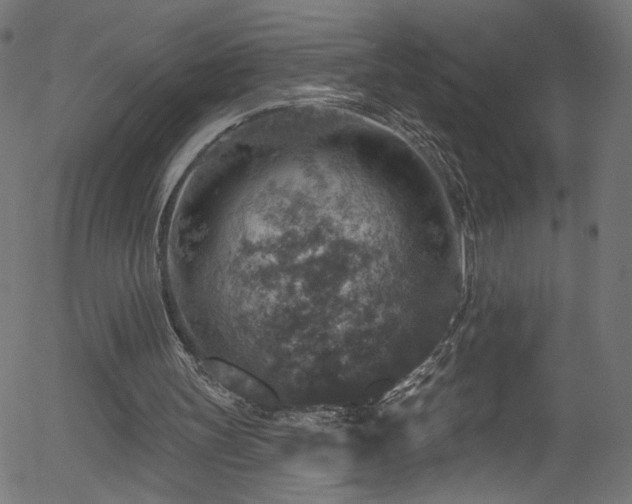 X0000056330147200508291301