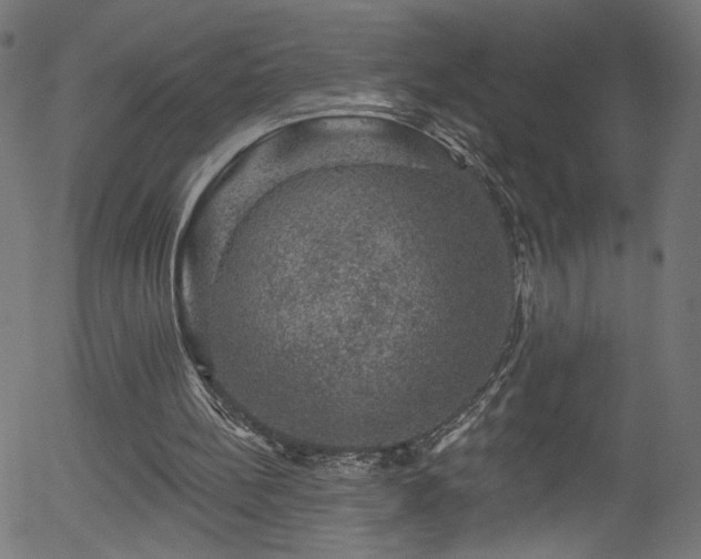 X0000056330148200508291301