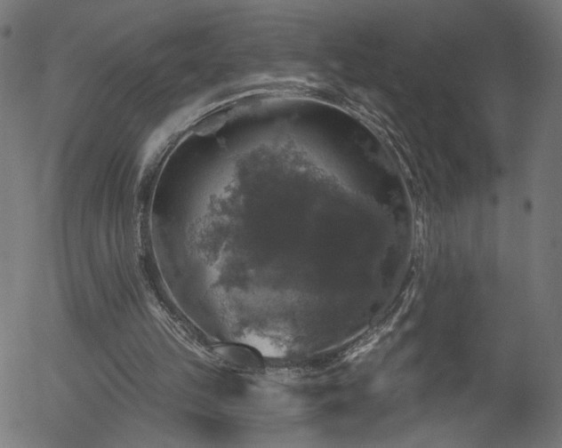 X0000056330149200508291301