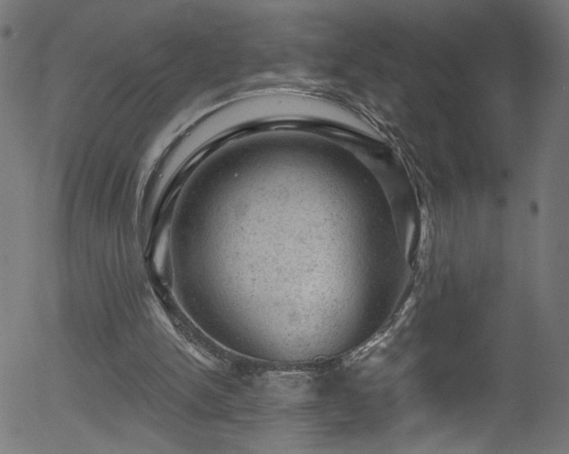 X0000056330150200508291301