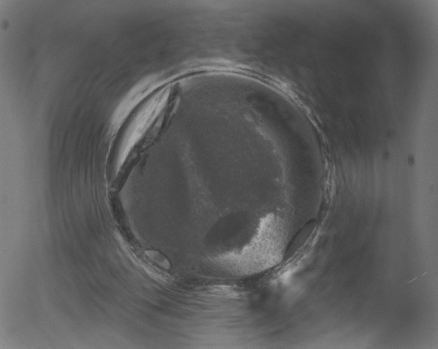 X0000056330151200508291301