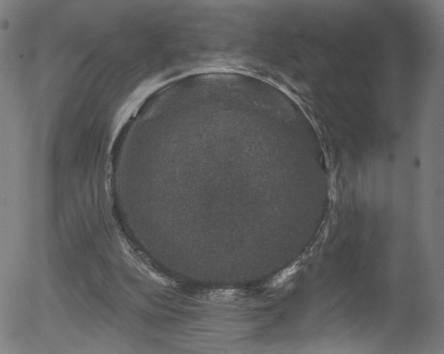 X0000056330152200508291301