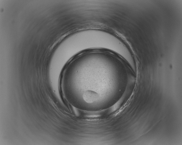 X0000056330154200508291301