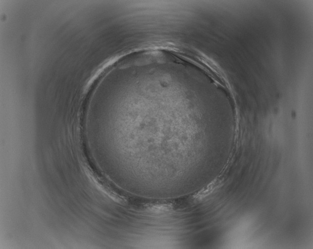 X0000056330155200508291301