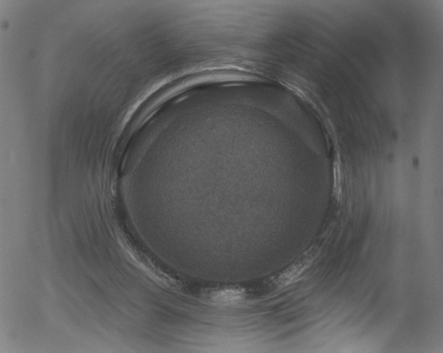 X0000056330156200508291301