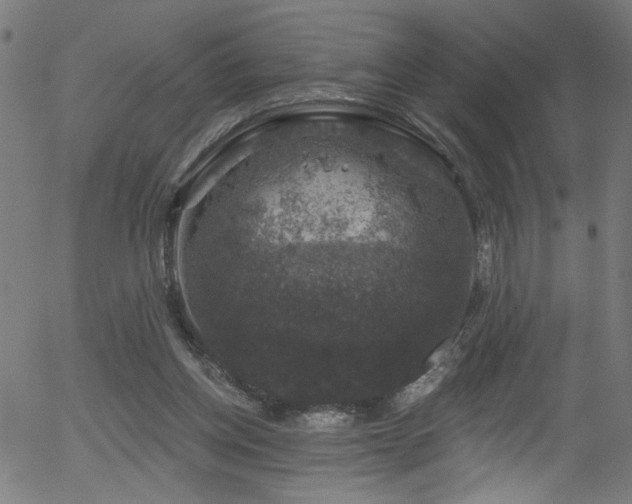 X0000056330158200508291301