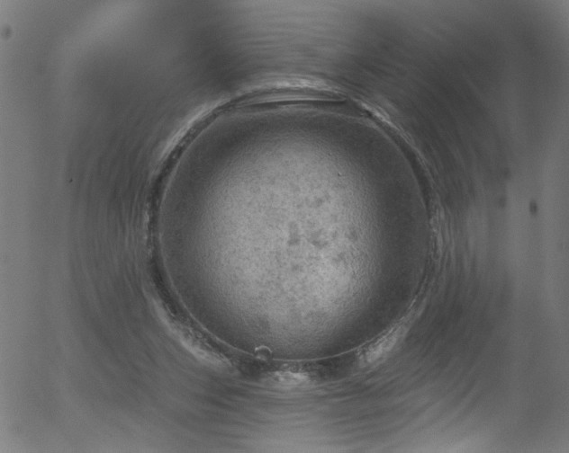 X0000056330159200508291301