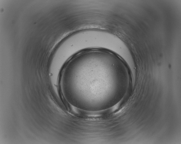 X0000056330160200508291301