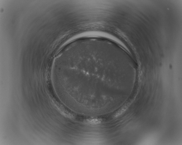 X0000056330161200508291301