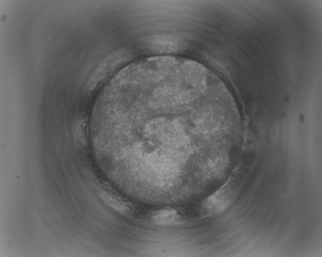 X0000056330162200508291301