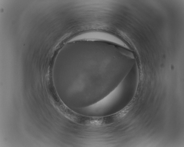 X0000056330163200508291301