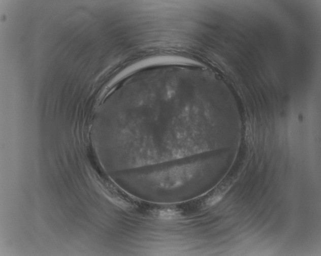 X0000056330165200508291301