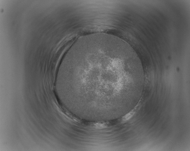 X0000056330166200508291301