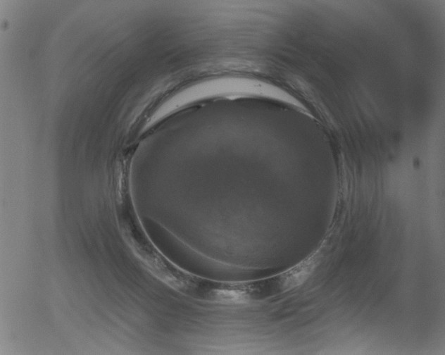 X0000056330167200508291301