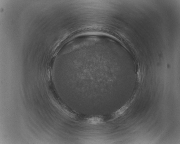 X0000056330168200508291301