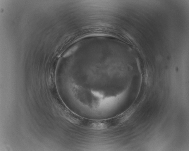 X0000056330169200508291301