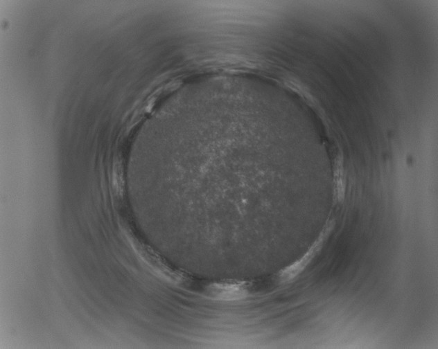 X0000056330170200508291301