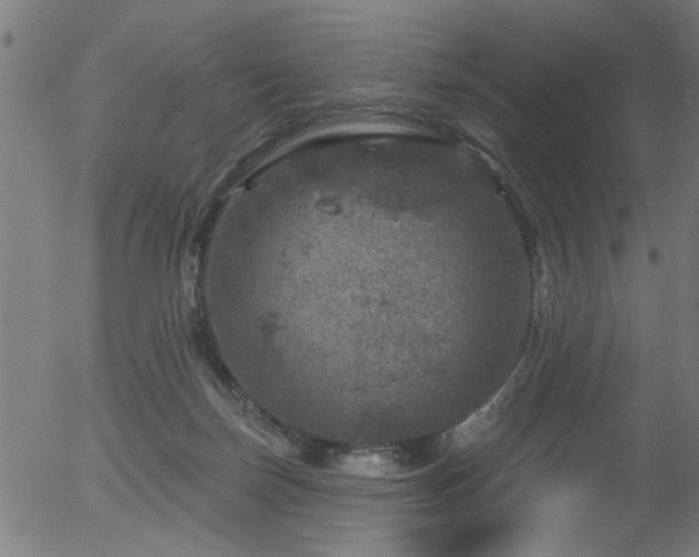 X0000056330171200508291301