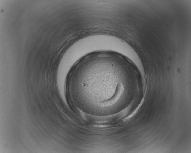 X0000056330174200508291301