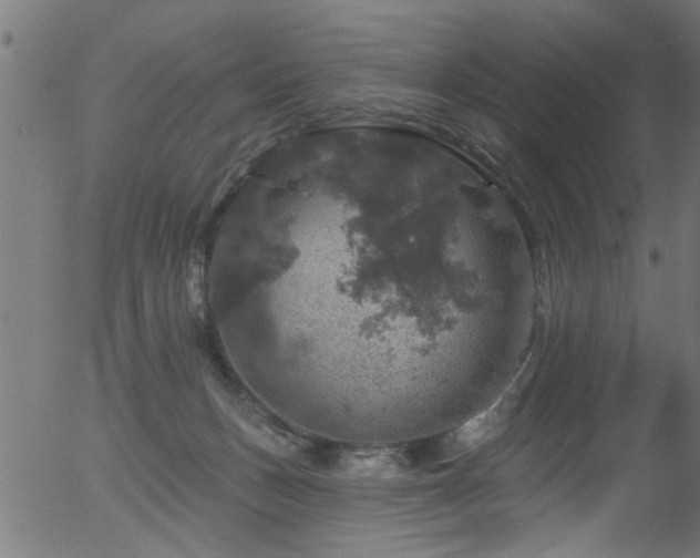 X0000056330175200508291301