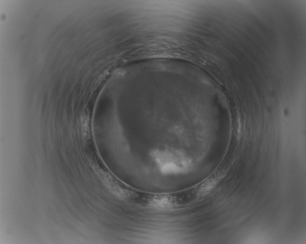 X0000056330177200508291301