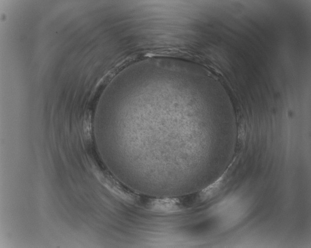 X0000056330179200508291301