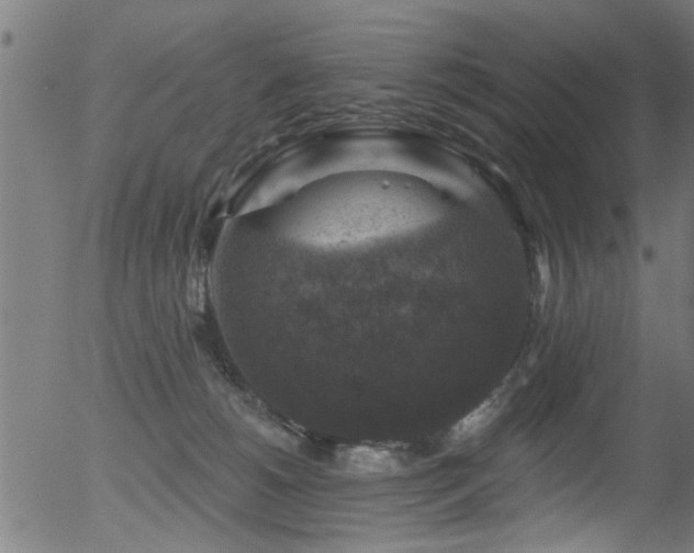 X0000056330180200508291301