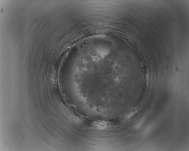 X0000056330181200508291301