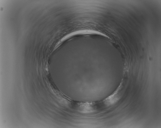 X0000056330182200508291301