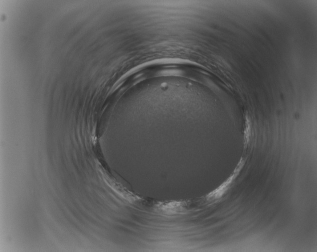 X0000056330186200508291302