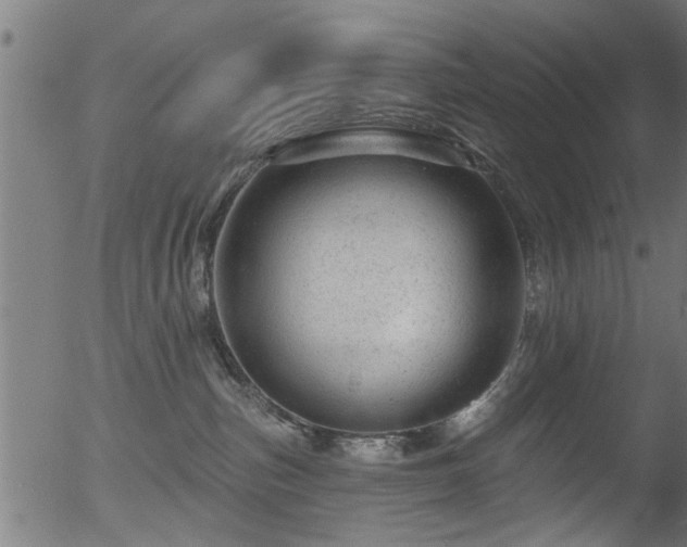 X0000056330187200508291302