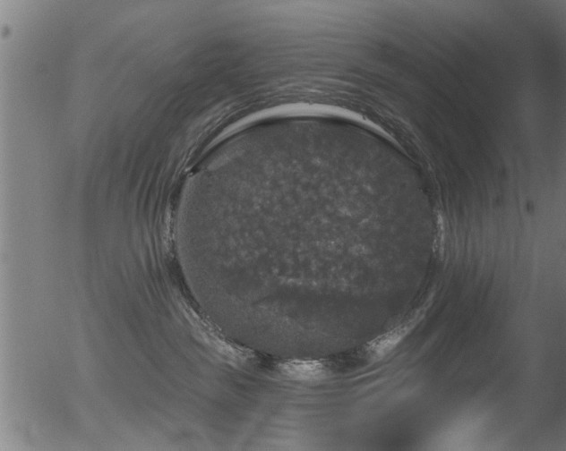 X0000056330189200508291302