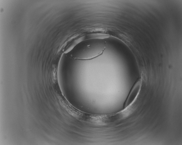 X0000056330190200508291302