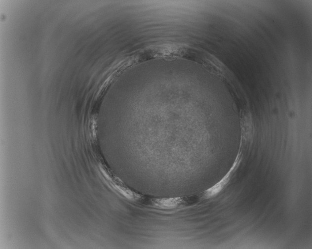 X0000056330191200508291302