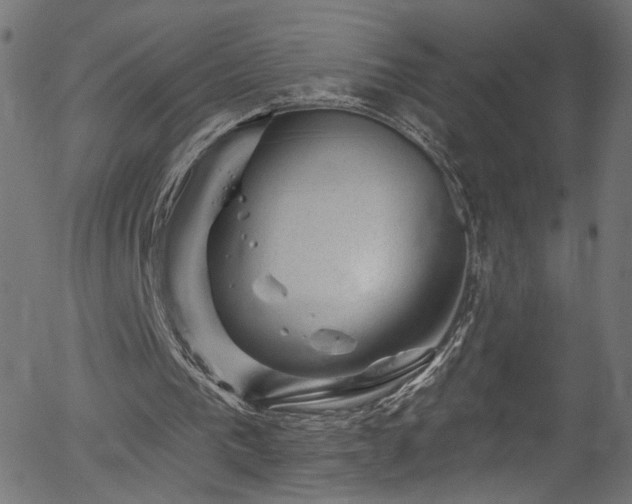 X0000056330193200508291301