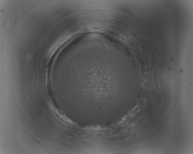 X0000056330194200508291301