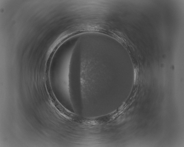 X0000056330195200508291301