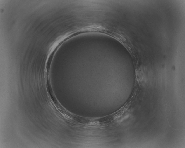 X0000056330196200508291301