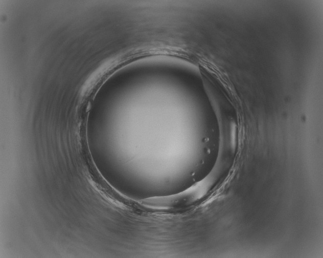 X0000056330197200508291301