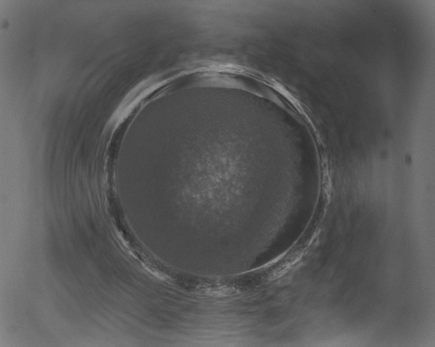 X0000056330199200508291301