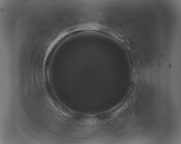 X0000056330200200508291301