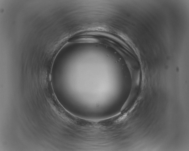 X0000056330201200508291301