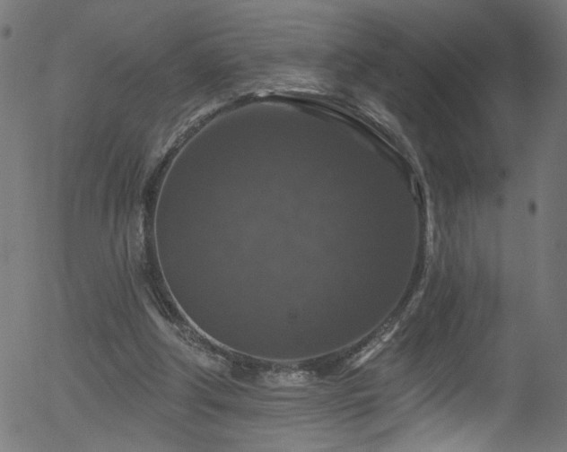 X0000056330202200508291301