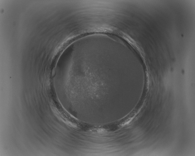 X0000056330203200508291301