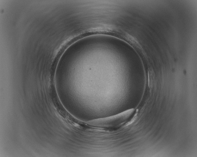 X0000056330204200508291301