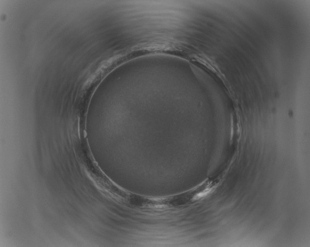 X0000056330205200508291301