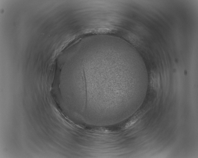 X0000056330206200508291301